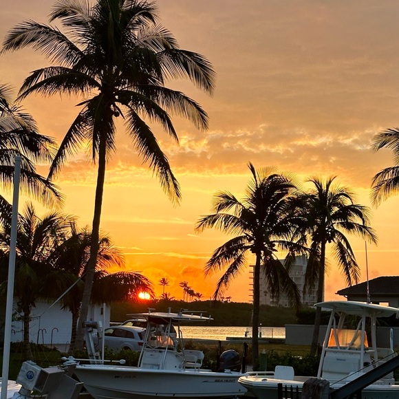 Meet your Posher, Paige - Picture 3 of 3